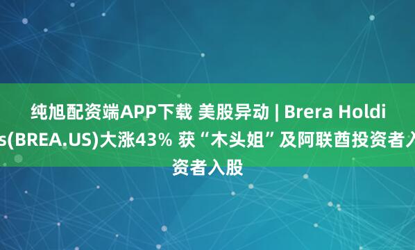 纯旭配资端APP下载 美股异动 | Brera Holdings(BREA.US)大涨43% 获“木头姐”及阿联酋投资者入股