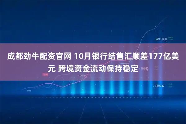 成都劲牛配资官网 10月银行结售汇顺差177亿美元 跨境资金流动保持稳定