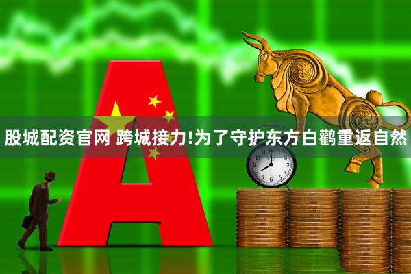 股城配资官网 跨城接力!为了守护东方白鹳重返自然